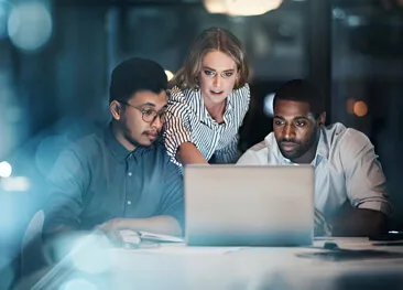 28圈平台